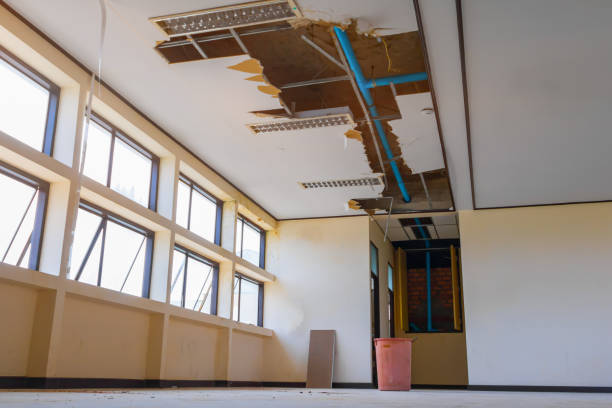 Best Flooded house restoration  in Velva, ND