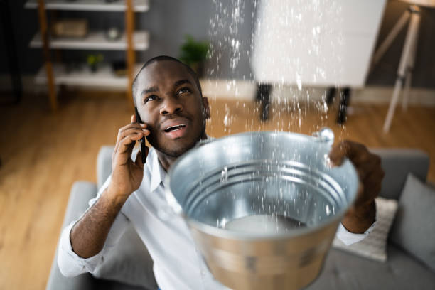 Best Sewage cleanup and water damage restoration  in Velva, ND