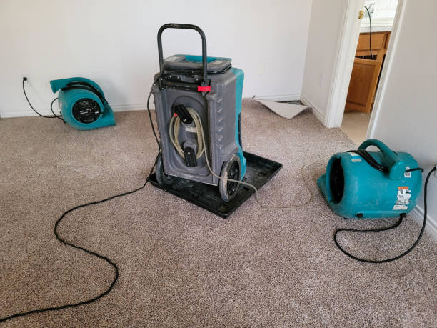  Velva, ND Water damage restoration Pros
