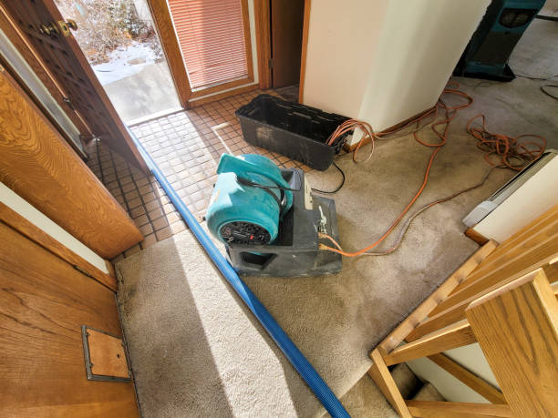 Best Water damage restoration near me  in Velva, ND