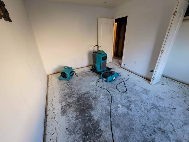 Best Water damage restoration cost  in Velva, ND