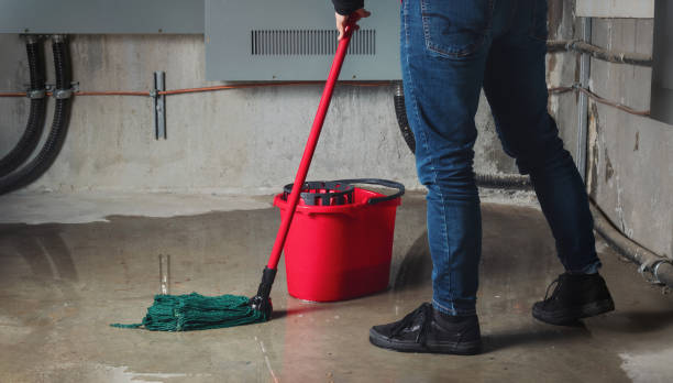 Best 24-hour water damage restoration  in Velva, ND