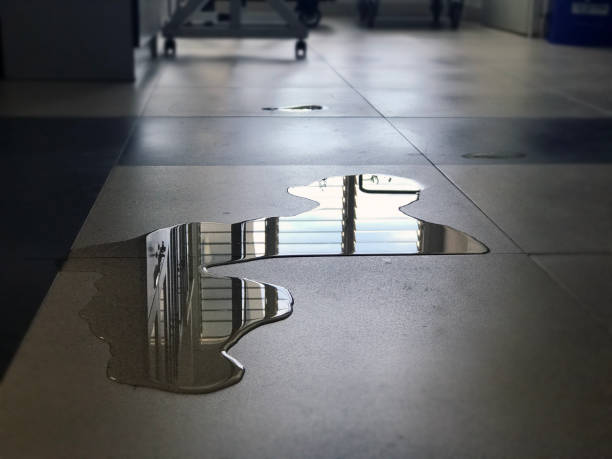 Best Water damage restoration process  in Velva, ND