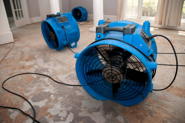 Best 24-hour water damage restoration  in Velva, ND