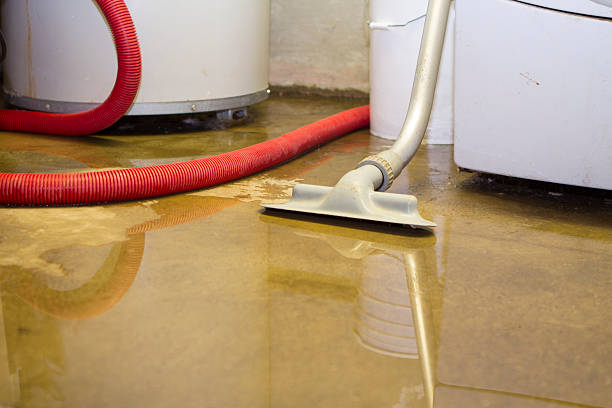 Best Commercial water damage restoration  in Velva, ND