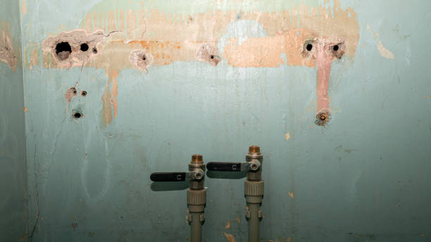  Velva, ND Water damage restoration Pros