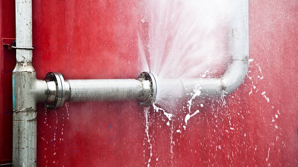 Best Water damage restoration near me  in Velva, ND